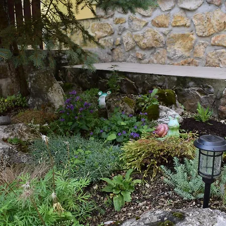 Domcek Anna * 德丁基