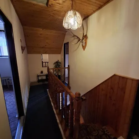 Domcek Anna Nyaraló