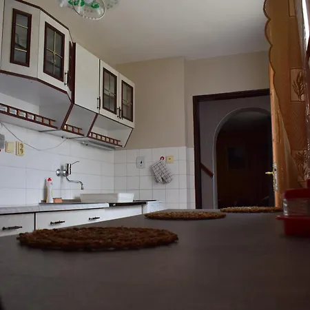 Domcek Anna 德丁基